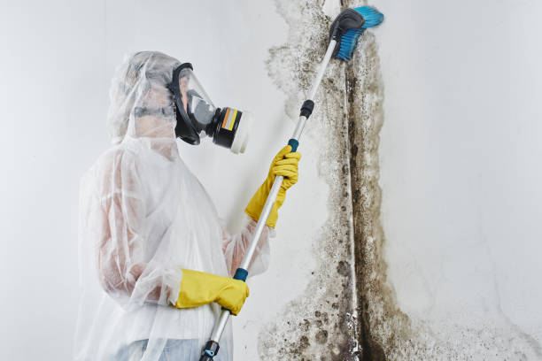 Best Mold Testing  in Oceano, CA