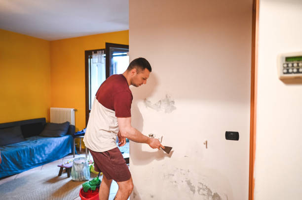 Best Same-Day Mold Removal  in Oceano, CA
